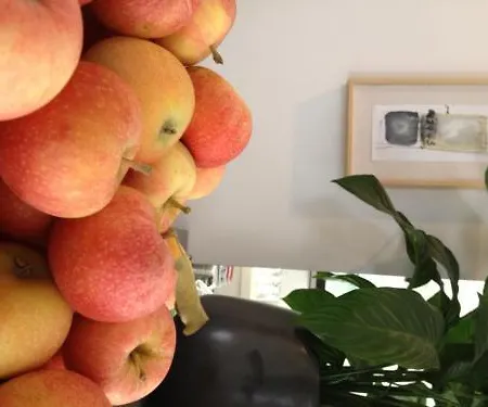 Hotel El Paso Jesolo