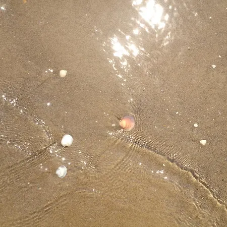 Hotel El Paso Lido di Jesolo