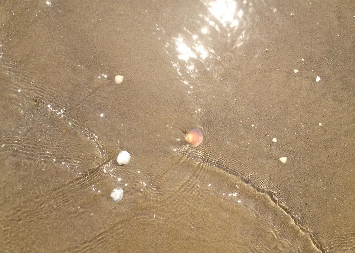 Hotel El Paso Lido di Jesolo